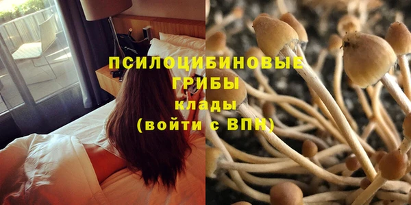 mdma Кинешма