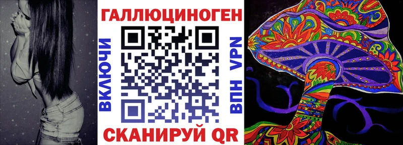 Купить закладки  Зерноград  Галлюциногенные грибы Psilocybine cubensis 